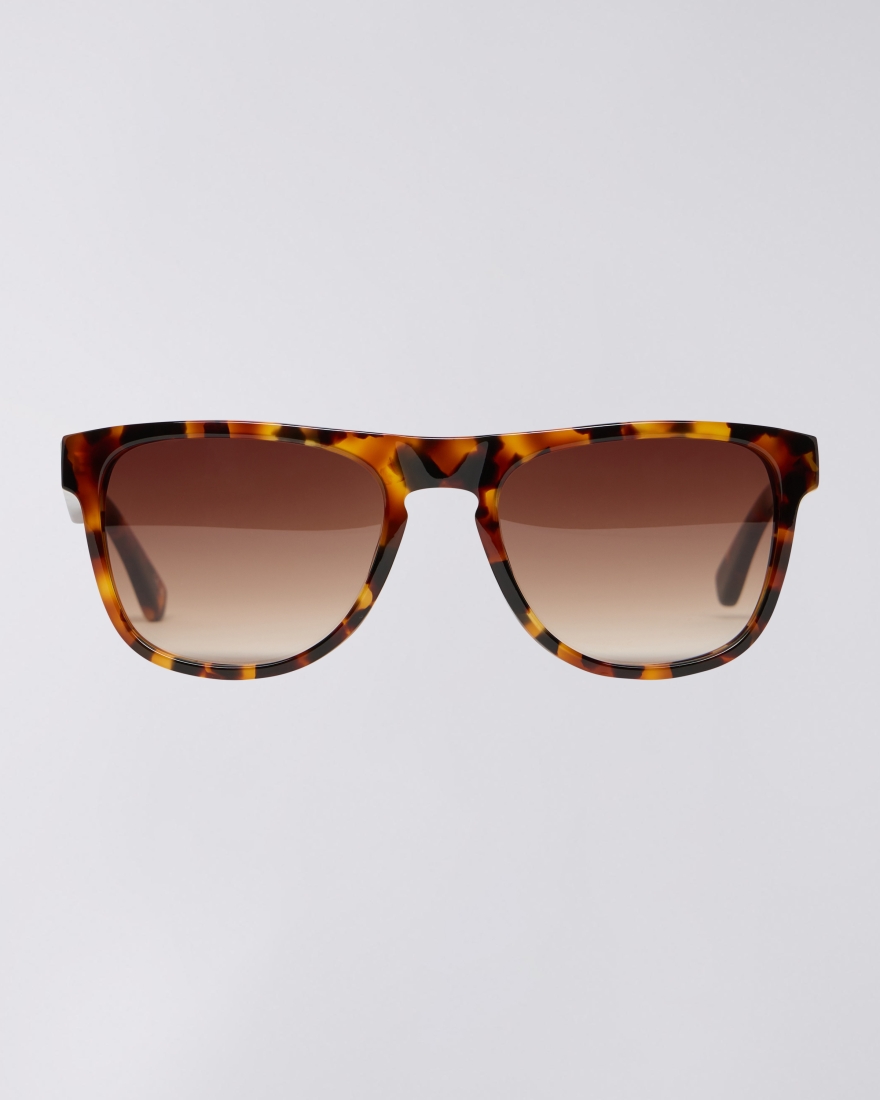 EDWIN Eldon Sunglasses Tortoise