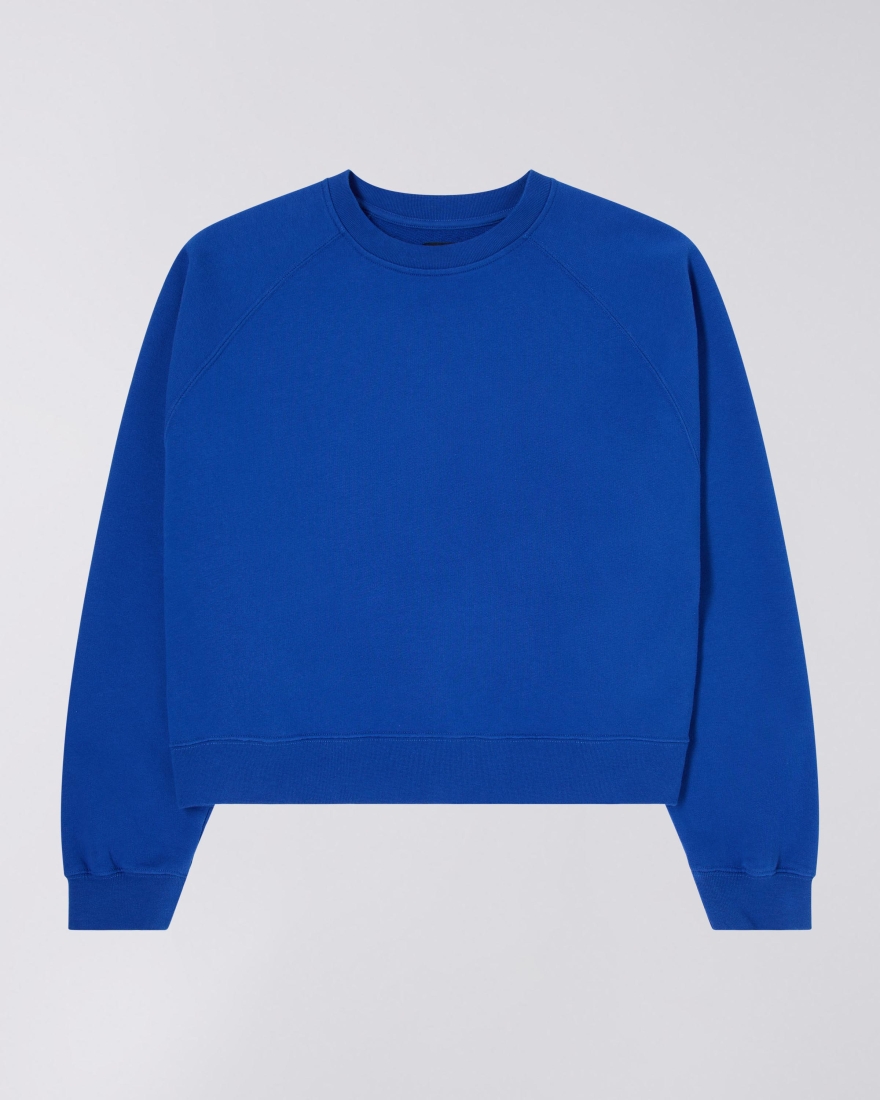 EDWIN W‘ Core Sweat Surf the Web