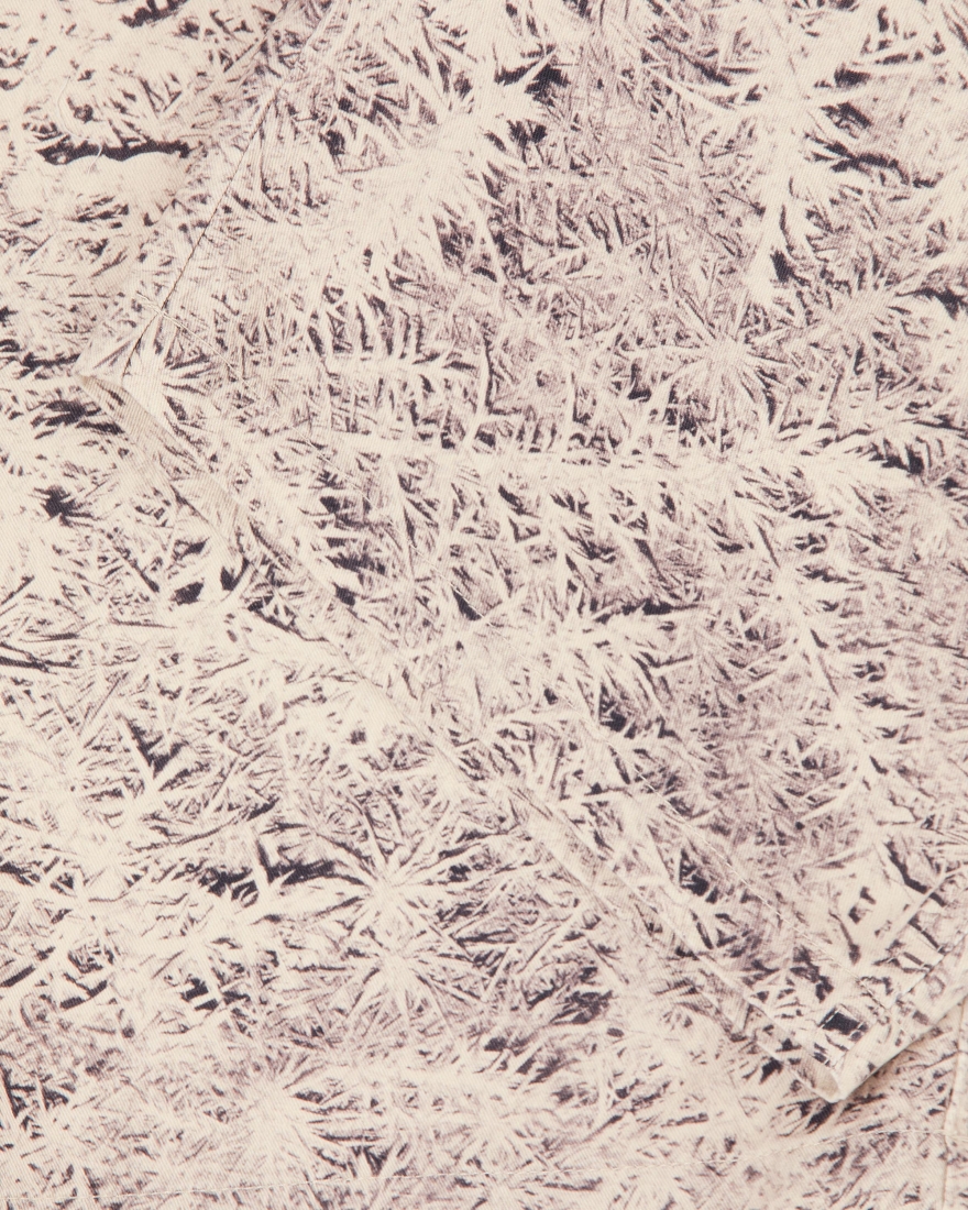 EDWIN Gangis Short Xerophyte AOP