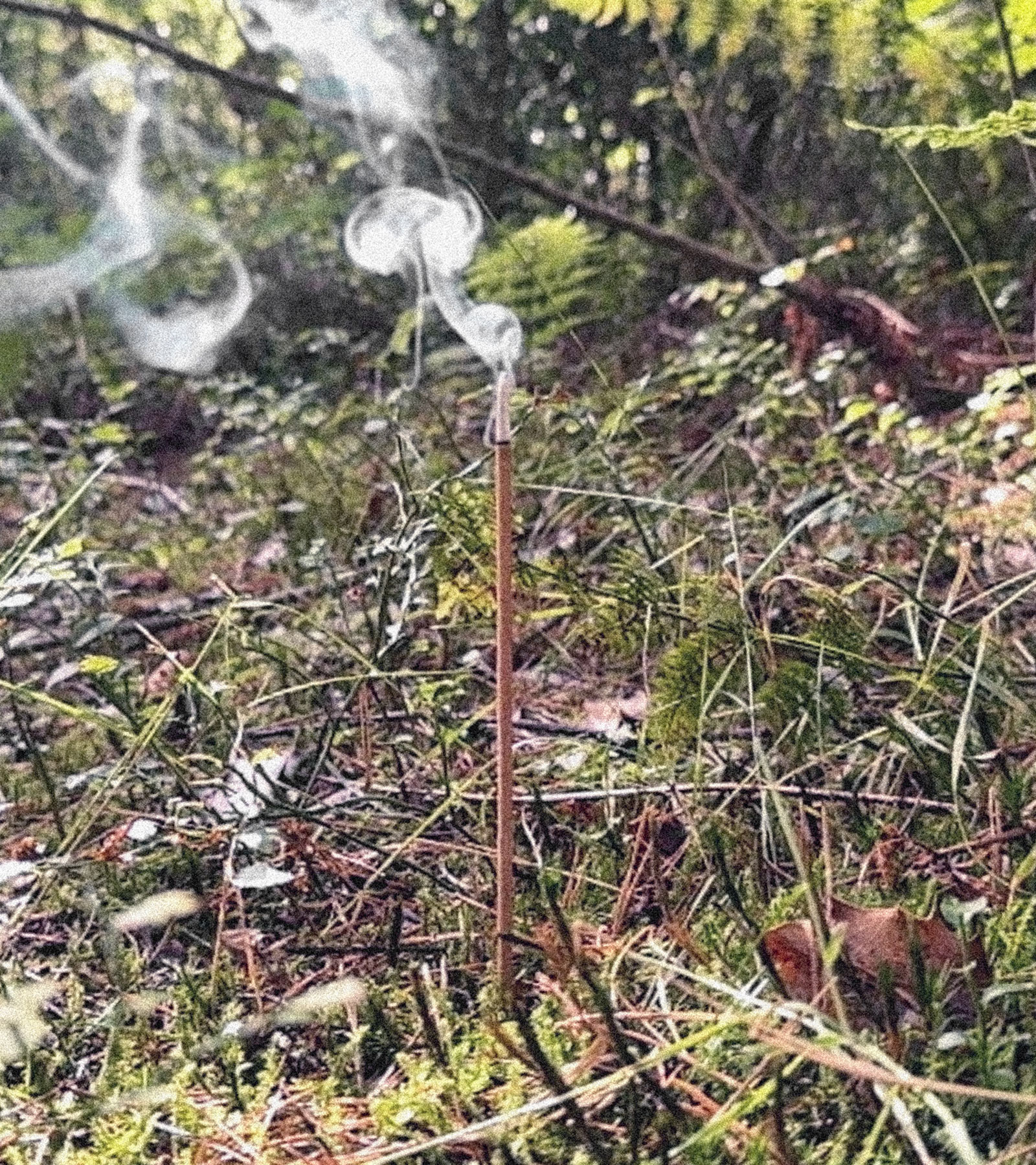 EDWIN Katakana Baseball Besuboru Editorial Spring/Summer 2024