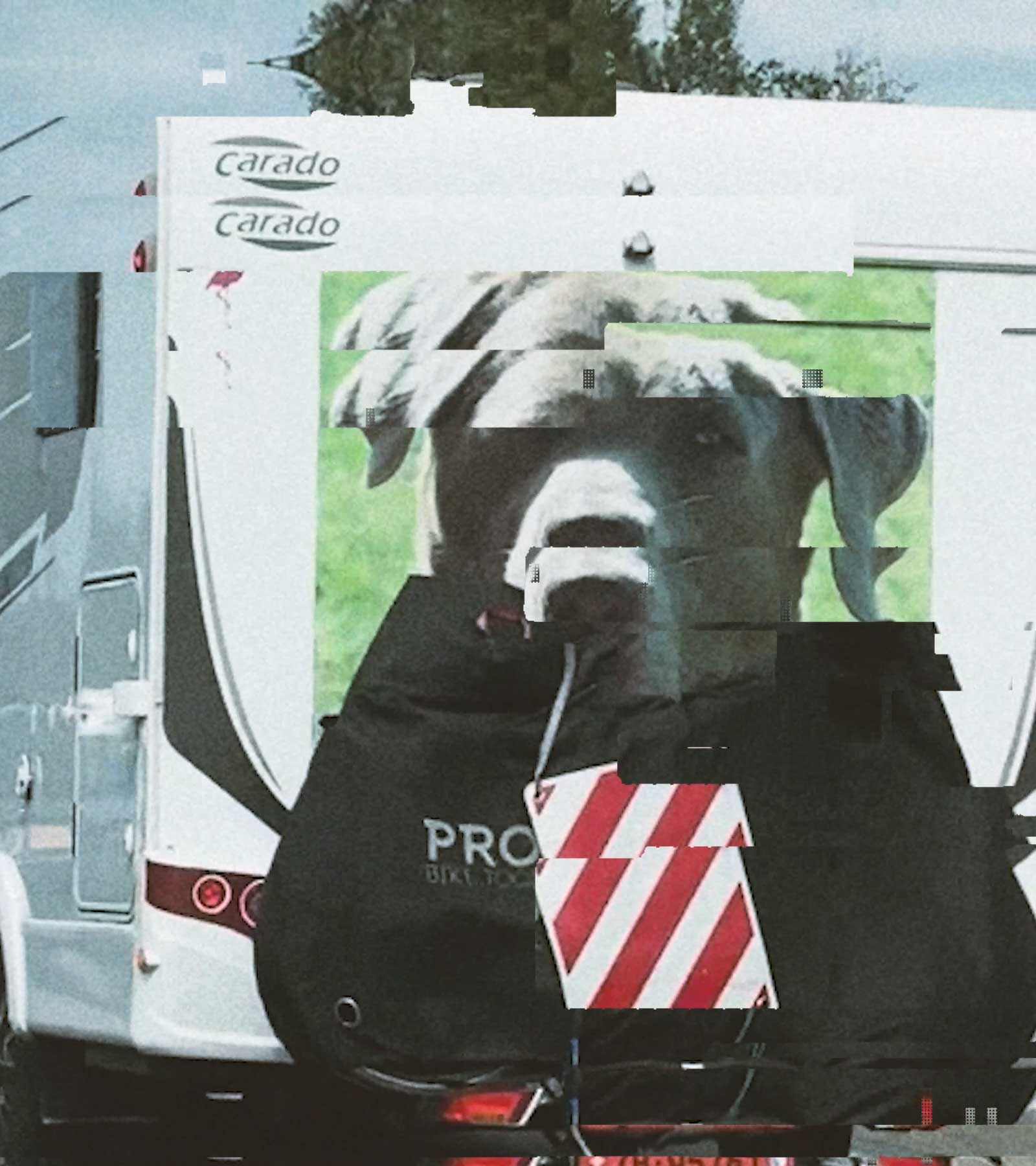 EDWIN Katakana Baseball Besuboru Editorial Spring/Summer 2024