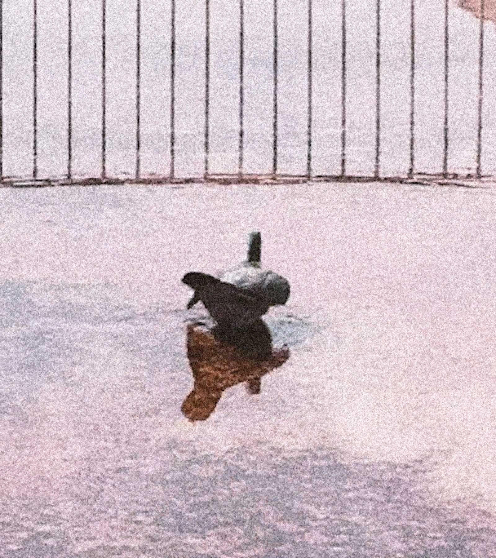 EDWIN Katakana Baseball Besuboru Editorial Spring/Summer 2024