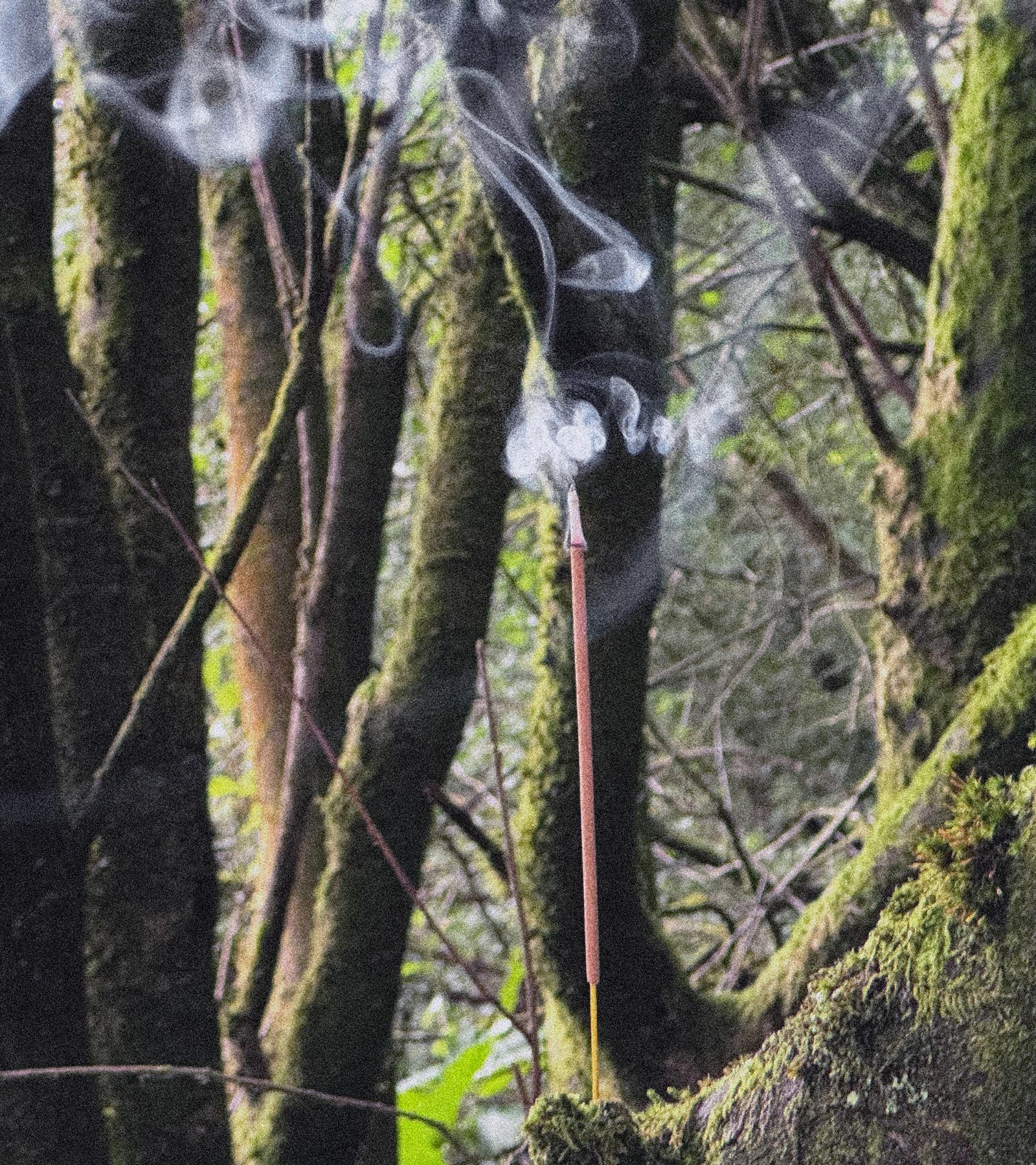 EDWIN Katakana Baseball Besuboru Editorial Spring/Summer 2024