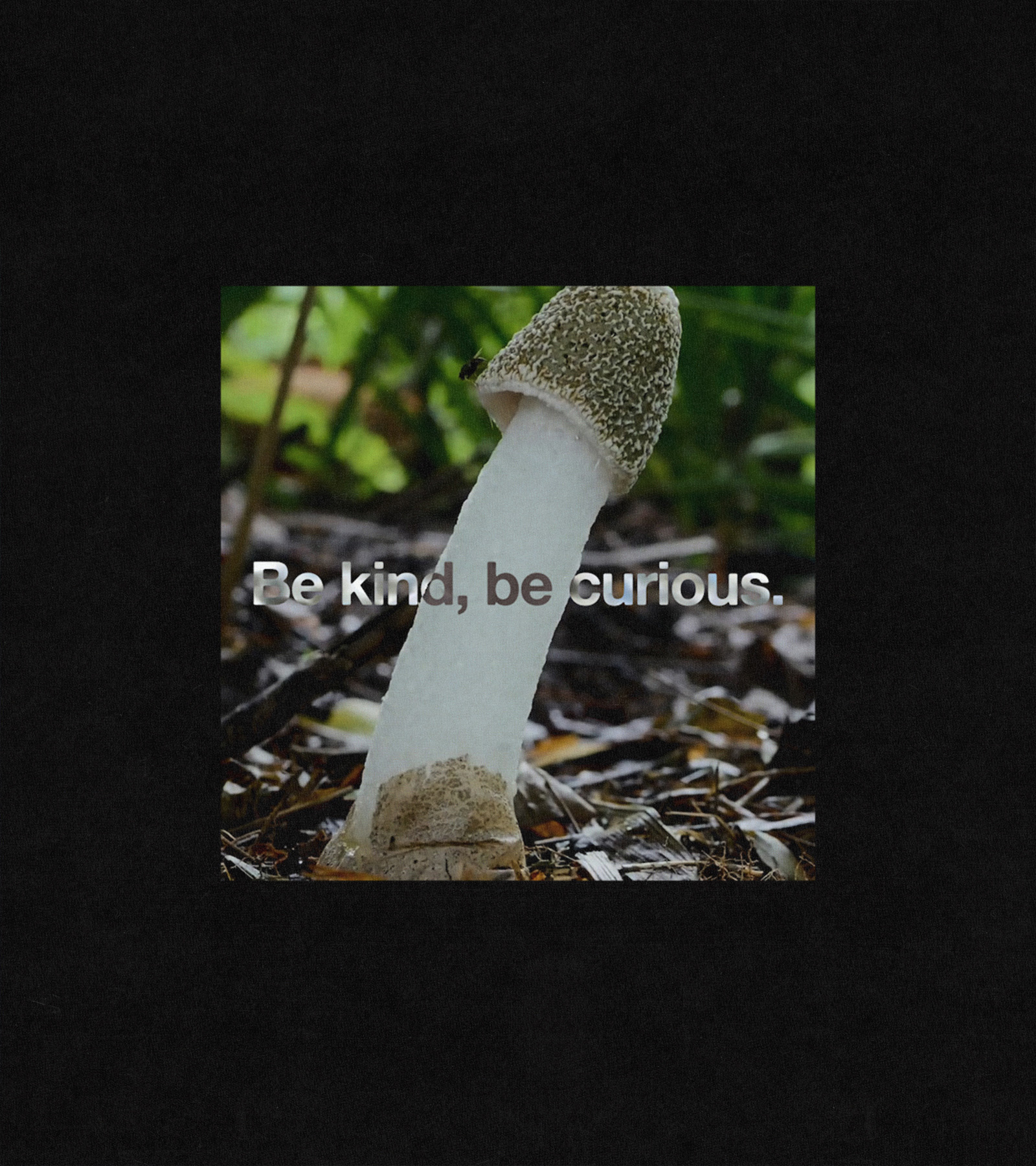 EDWIN Sexual Tendencies Autumn Winter 2025 collection 