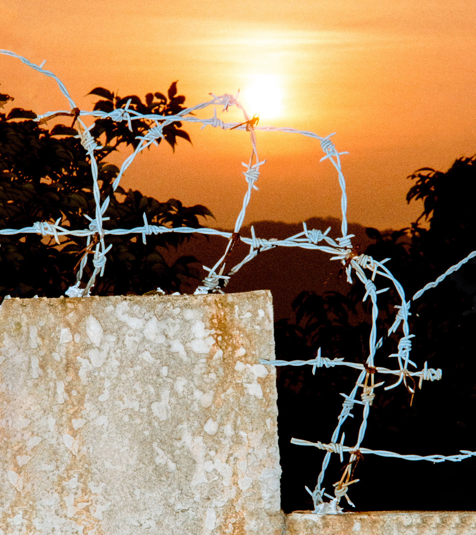 EDWIN Spring Summer 2024 Laidbug Tokyo Artwork Editorial 