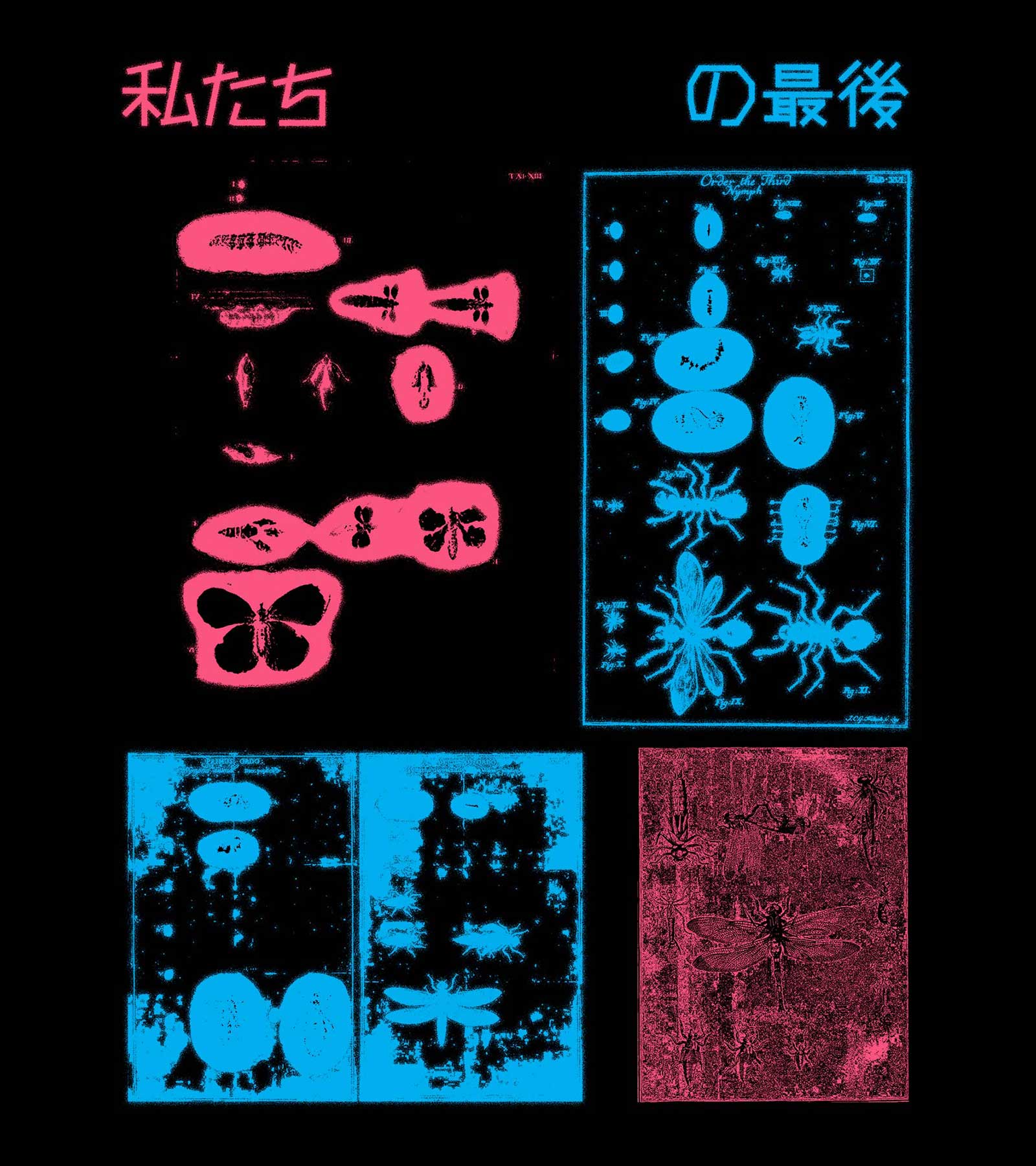 edwin - supply - fleeting beauty - editorial - spring - summer - 2025 - graphic - collection - japan